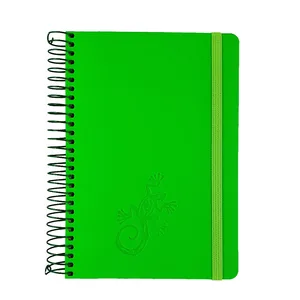 Notebook B6/120 "SKILL" /СБВ-95/ Raso light green spiral side (1/10)