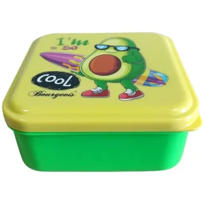 Lunchbox "Bourgeois" /46086-5/ 490 ml (1/24/96)
