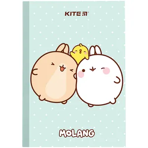 Notebook A5/40 sheets. "Kite" /ML24-091/ soft cover #Molang