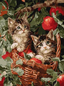 Картина за номерами "Ідейка" /KHO6949/ "Коти у кошику" 30*40см