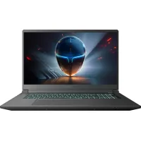 Laptop Thunderobot 911 X17 (911X17-i7136H56C1Q165MB)