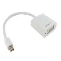 Adapter Mini DisplayPort to DVI 0.15m Extradigital (KBD1677)