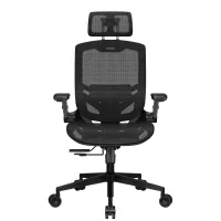 Gaming chair Cougar Speeder One Black (Speeder One)