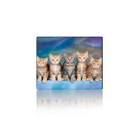 Килимок для мишки Voltronic Five Cats (YT-CAT30)