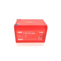 Battery LiFePo4 Merlion LFP12.8-12EB
