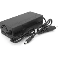 Network charger for batteries Voltronic LiFePo4 36V(43.8V), 12S, 2A (YT-3620-43820)