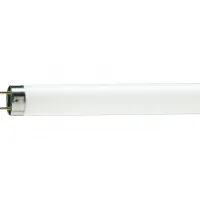 Лампочка Philips TL-D G13 1500mm 58W/54-765 1SL/25 (928049005451)