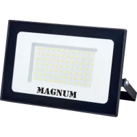 Searchlight MAGNUM FL12 ECO LED 100W slim 6500K IP65 (90018087)
