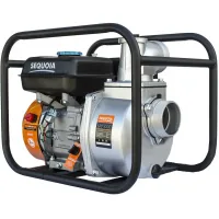 Motor pump SEQUOIA for clean water, 5.15 kW/7.0 hp, (SPP1000)