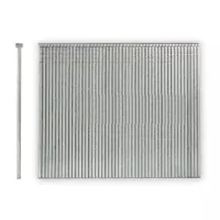 Bostitch BT13 nails, T-shaped, L=25mm, rod 1.25mm, cap 2.0mm, 1000 pcs (BT1309B-1M)