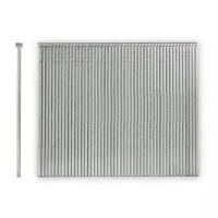 Bostitch BT13 nails, T-shaped, L=35mm, rod 1.25mm, cap 2.0mm, 5000 pcs (BT1335GA)