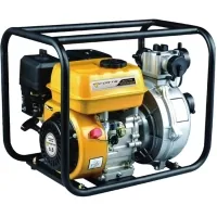 Motor pump Forte FP20HP (36m3/h) (31224)