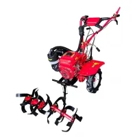 Cultivator Forte 1050GS NEW, wheels 8", 7x (113375)