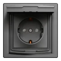 Schneider Electric ASFORA socket with cover, IP44, anthracite (EPH3100371)