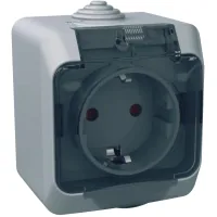 Розетка Schneider Electric CEDAR 2К+С зі шторками та прозорою кришкою серая IP44 (WDE000643)