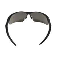 DeWALT Recip safety glasses, tinted, polycarbonate (DPG102-2D)