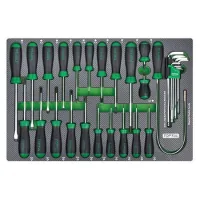 Set of screwdrivers Toptul 31 pcs. in lodging (GED3102)