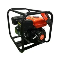 Motor pump GTM LGP30-C, hose 75mm, 60m3/h, lift 30m, clean water (LGP30-C)