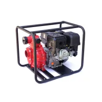 Motor pump KAMA KGL30HP, 40 m3/h, 10 hp. (KGL30HP)