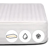 Mattress pad MirSon anti-allergenic Royal Eco Aloe Vera 234/3 100x200 cm (2200000373892)