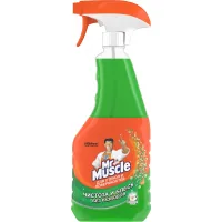Glass cleaner Mr Muscle with ammonia Morning dew 500 ml (4823002000153)