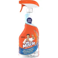 Spray for cleaning bathtubs Mr Muscle Expert 500 ml (4823002002676)