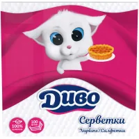 Table napkins Divo 1 layer white 33x33 cm 100 pcs. (4820003830390)