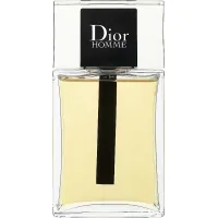Туалетна вода Dior Homme 100 мл (3348901419147)