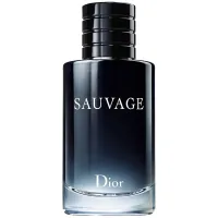 Dior Sauvage 2015 eau de toilette 100 ml (3348901250146)