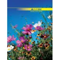 Stationery book A4, 96 pages, NATURE Buromax (BM.2400)