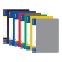 File folder Economix Light A4 with 40 files, assorted (E37604)