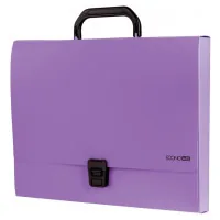 Folder - briefcase Economix plastic A4 with clasp 1 compartment, purple (E31607-12)