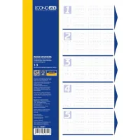 Economix A4 plastic page divider, 5 sections, colored (E30801)