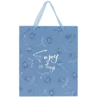 Gift bag Axent plastic Flower Symphony-3, 25x19 cm (8503-43-A)