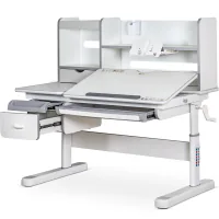 Парта Mealux Florida Multicolor Gray (Evo-52 WG + G Multicolor)
