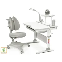 Парта з кріслом Evo-kids Evo-30 G + Y-115 G
