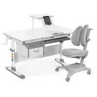 Desk with chair Evo-kids Evo-40 G + Y-115 G