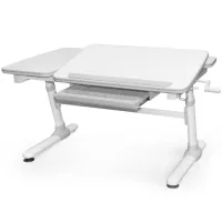 Парта Evo-kids Darwin Grey (Evo-502 G)