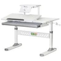 Парта ErgoKids з полицею Grey (TH-310 W/G + BD-S30 G)