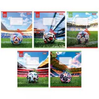 Notebook September 1 1В Win 48 sheets line (767120)