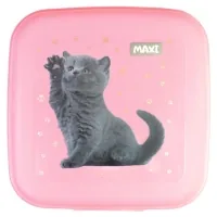 Lunch box for children Maxi 850 ml (MX98138)