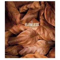 Зошит Школярик The Flawless 48 аркушів клітинка (048-3046K)