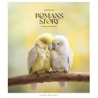 Зошит Школярик Romance stories 96 аркушів лінія (096-3571L)