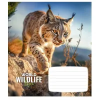 Notebook Schoolboy Wildlife 12 sheets cell (012-3679K)