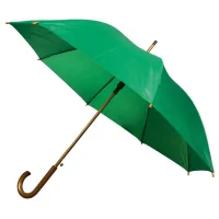 Umbrella Economix Promo TWIST automatic cane, green (E98400-04)