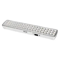 Lamp Delux REL-601 (3.7V2Ah) 60 LED 4W (90016961)