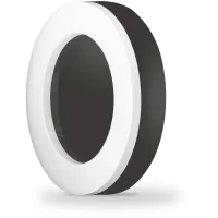 Lamp Videx LED ART IP65 round 30W 5000K Black (VL-BHFR-305B)