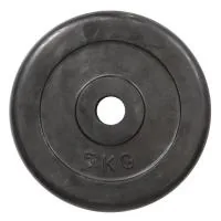 Диск для штанги HSF R-5
