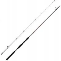 Rod Brain Apex Boat 2.40m max 150g (1858.44.58)