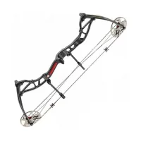 Bow Poe Lang Exterminator Assassin 15-70 LBS (C0-035B)